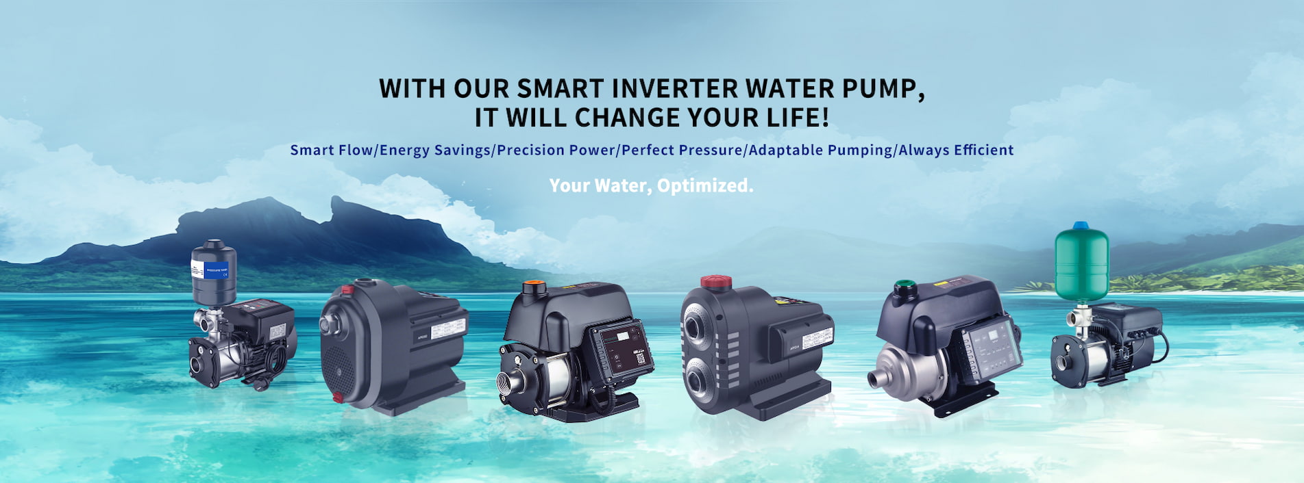 Intelligent Inverter Pump